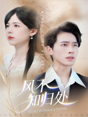 风不知归处（78集）短剧免费分享