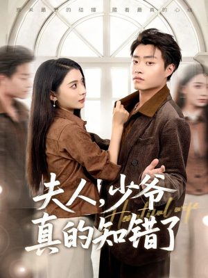 夫人，少爷真的知错了（82集）热门短剧排行榜