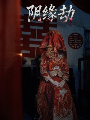 阴缘劫（25集）直接追到结尾