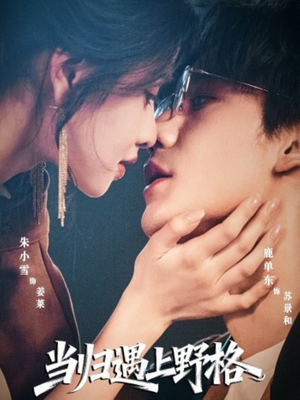 当归遇上野格(66集) 当归遇上野格(66集)全集我都看完了
