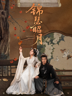 锦瑟昭月(68集) 锦瑟昭月(68集)解说