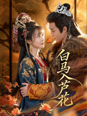 白马入芦花(59集) 白马入芦花(59集)大结局完美收官