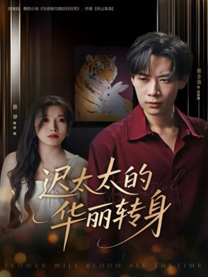 迟太太的华丽转身（80集）每日短剧分享