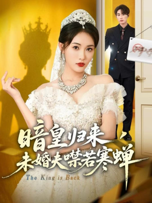 暗皇归来,未婚夫噤若寒蝉(65集) 暗皇归来,未婚夫噤若寒蝉(65集)一共多少集