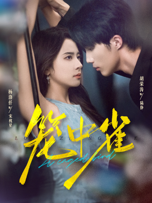 笼中雀(65集) 笼中雀(65集)热门短剧追不停