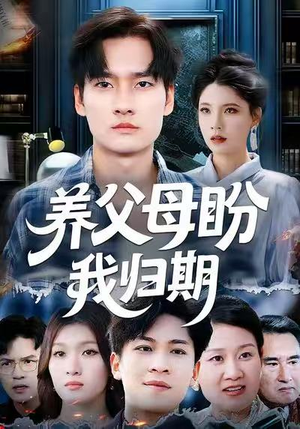 养父母盼我归期（72集）免费看