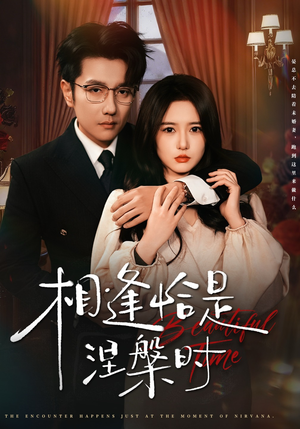 相逢恰是涅槃时(63集) 相逢恰是涅槃时(63集)好看到停不下来