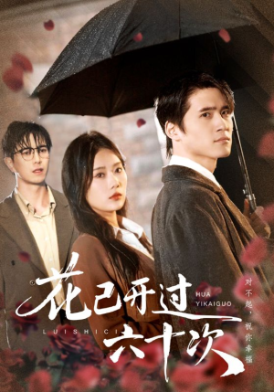 情敌交手她选择躺赢（72集）好看的短剧分享