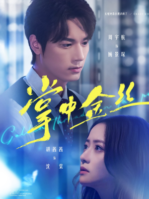 掌中金丝（60集）最火爆短剧