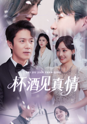 杯酒见真情（68集）恋爱短剧分享