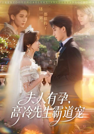 夫人有孕，高冷先生霸道宠（60集）免费看短剧全集