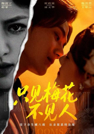 只见梅花不见人（63集）在线看