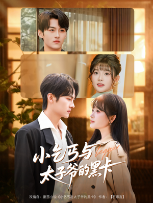 小乞丐与太子爷的黑卡(60集) 小乞丐与太子爷的黑卡(60集)免费版