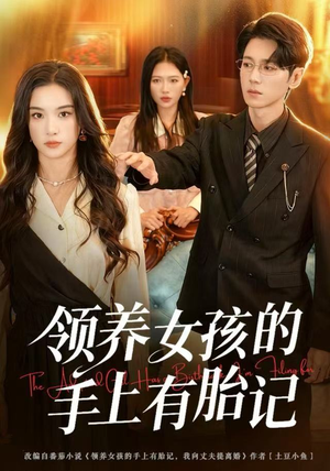 领养女孩的手上有胎记（60集）解说文案