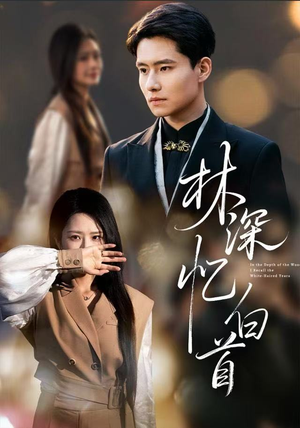 林深忆白首（60集）高清画质免费看