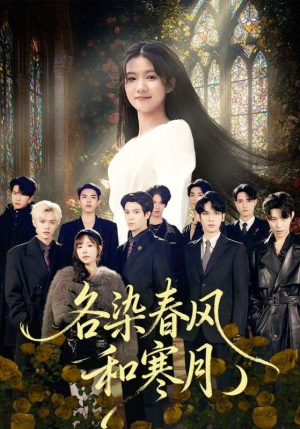 尘埃里的真千金（67集）免费看全集