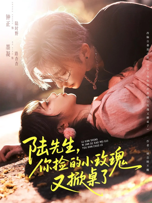 陆先生，你捡的小玫瑰又掀桌了（74集）热门短剧抢先看