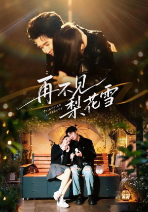 再不见梨花雪（70集）热播古装短剧