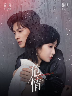 危情(65集) 危情(65集)热门短剧大全