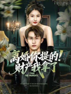 离婚你提的！财产我拿了（63集）男频短剧推荐