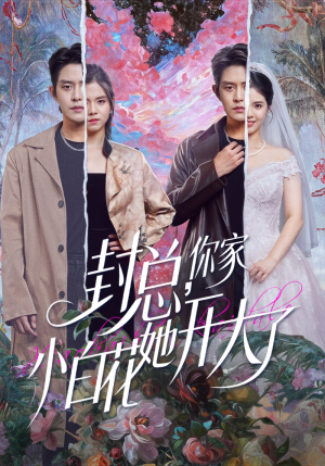 封总，你家小白花她开大了（60集）大结局太过瘾了