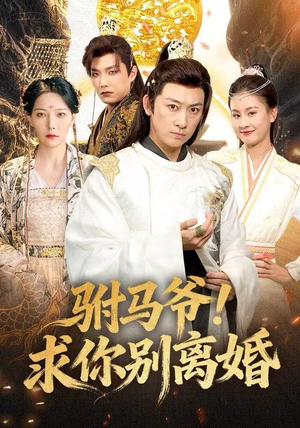 驸马爷！求你别离婚（80集）全集