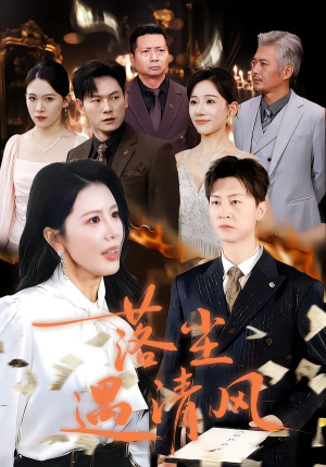 离婚而已（74集）免费短剧看不停