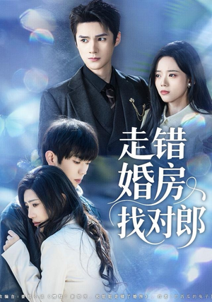 走错婚房找对郎（50集）剧情简介