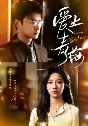 爱止青梅（60集）精彩好看的短剧