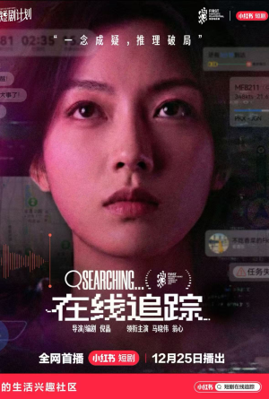 在线追踪（35集）在线免费观影