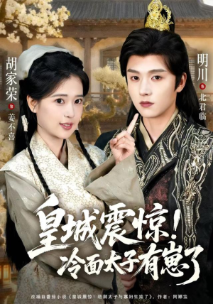 皇城震惊冷面太子有崽了（105集）在线免费观看