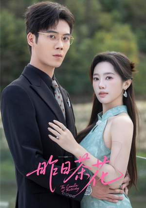 昨日茶花（56集）热播短剧重燃