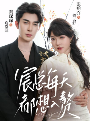 宸总每天都想入赘（65集）短剧全集完整版
