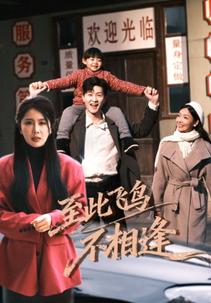 至此飞鸟不相逢（70集）短剧解说热门