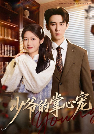 少爷的掌心宠（80集）精彩好看的短剧