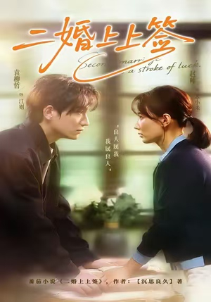 二婚上上签（71集）全网短剧抢先看