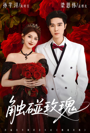 触碰玫瑰（80集）短剧精彩绝伦