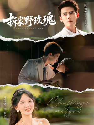 拆家野玫瑰（80集）80到100集