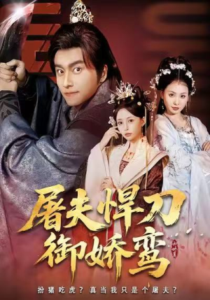 屠夫悍刀御娇鸾（81集）在线看