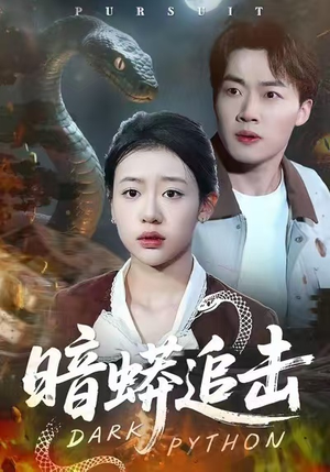 暗蟒追击（35集）短剧演员排行榜
