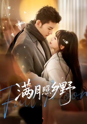 满月照乡野（70集）百度网盘在线看