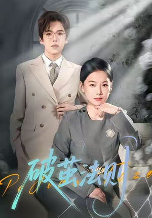 破茧法则（66集）高质量短剧推荐