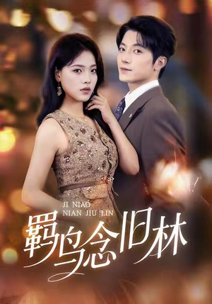 羁鸟念旧林（60集）精彩短剧下载