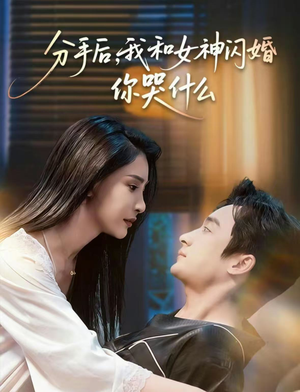 悲欢离合总无情（80集）短剧有好货推荐