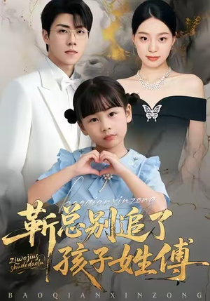 靳总别追了，孩子姓傅（51集）红果短剧免费看