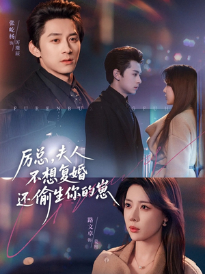 厉总，夫人不想复婚还偷生你的崽（80集）热播短剧免费看