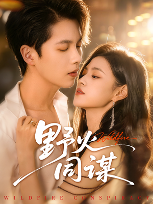 野火同谋（66集）好看吗