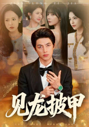 见龙披甲（70集）全集免费