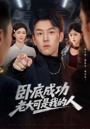 卧底成功老大可是我的人(99集) 卧底成功老大可是我的人(99集)热门短剧抢先