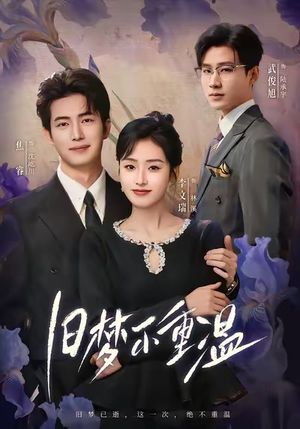 旧梦不重温（70集）百度网盘资源